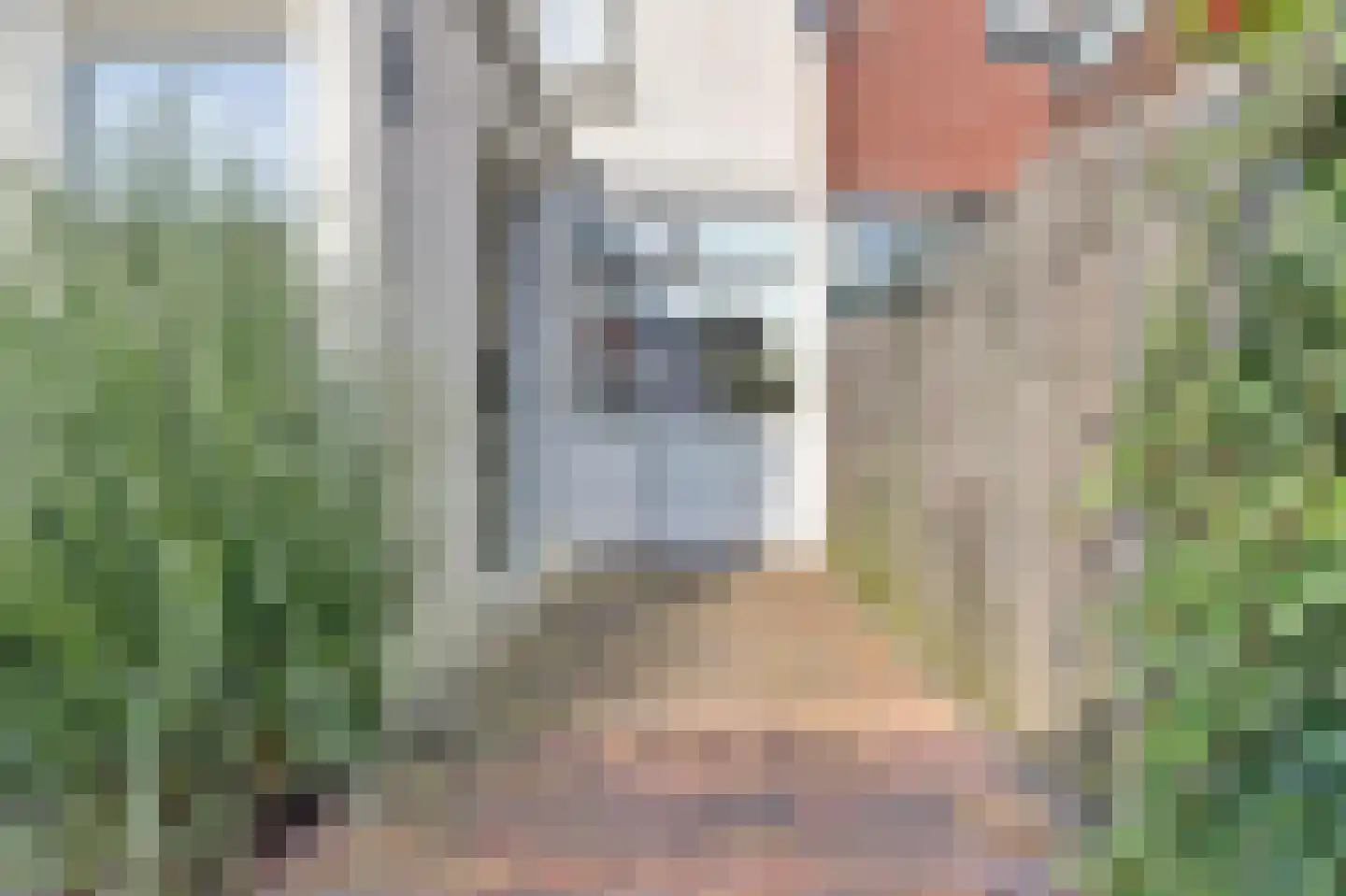 P.C. Bothstraat 68 Gouda thumbnail 5