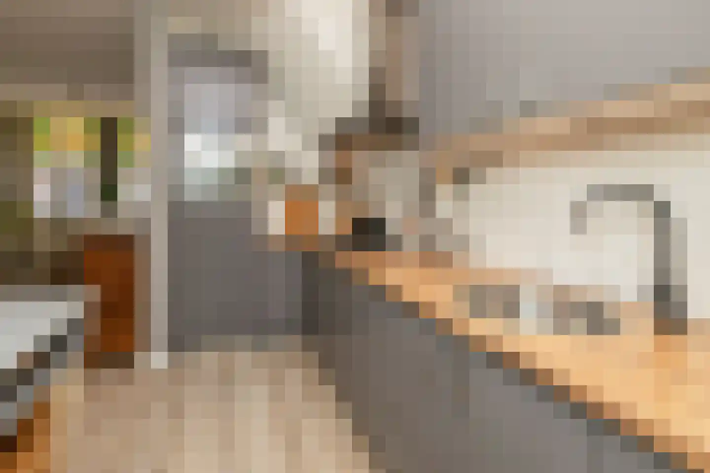 P.C. Bothstraat 85 Gouda thumbnail 17