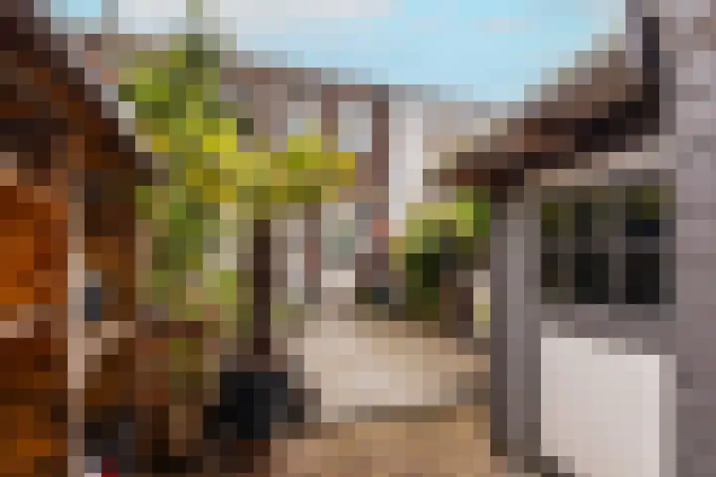 P.C. Bothstraat 85 Gouda thumbnail 31