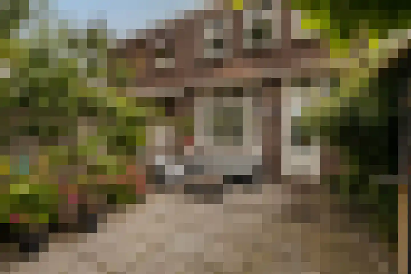 P.C. Bothstraat 85 Gouda thumbnail 33