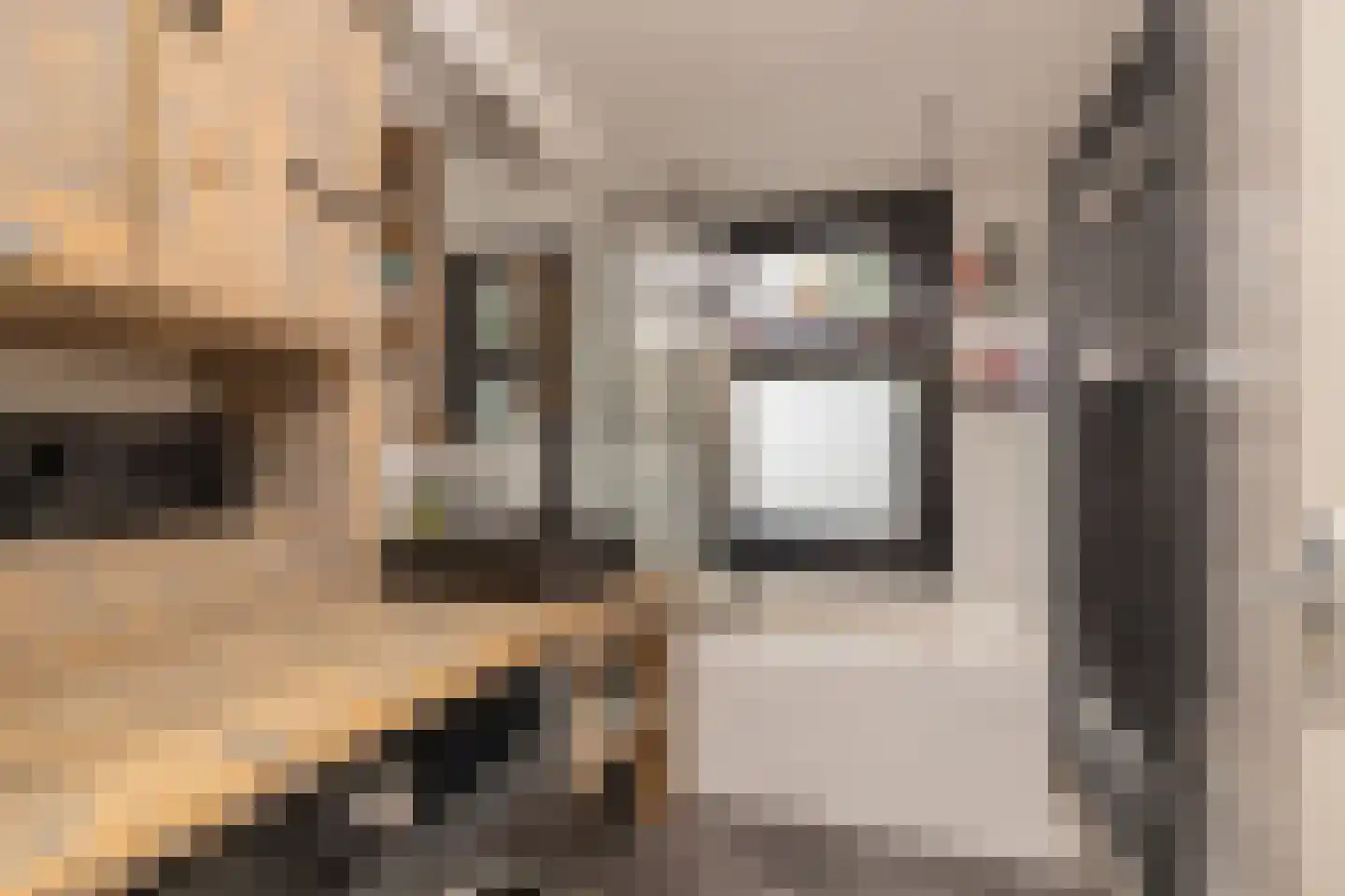 P.C. Bothstraat 85 Gouda thumbnail 4