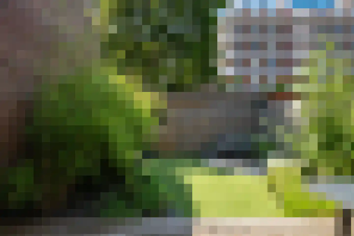 P.C. Bothstraat 9 Gouda thumbnail 37