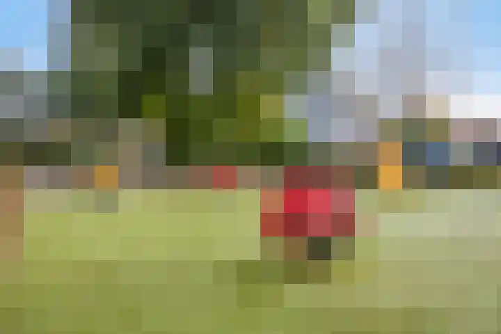P.C. Bothstraat 97 Gouda thumbnail 31