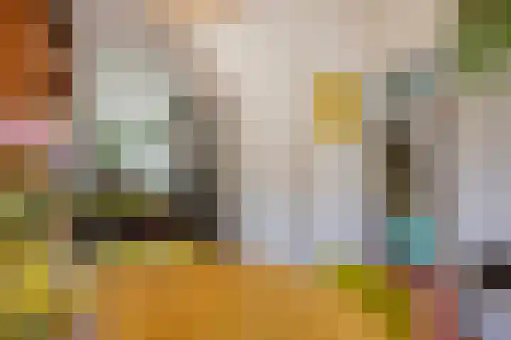 P.C. Bothstraat 97 Gouda thumbnail 8