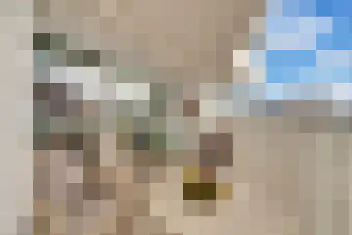 P.C. Boutenslaan 117 Rijswijk thumbnail 13