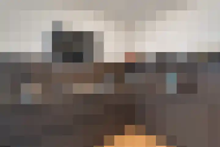 P.C. Boutenslaan 117 Rijswijk thumbnail 18