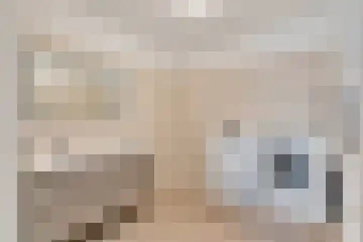 P.C. Boutenslaan 117 Rijswijk thumbnail 24