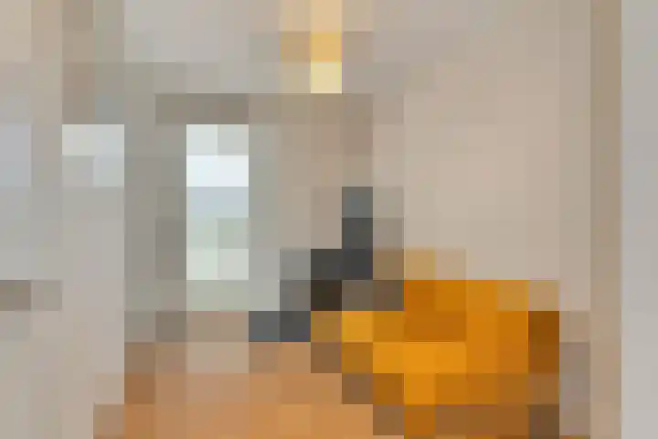 P.C. Boutenslaan 117 Rijswijk thumbnail 25