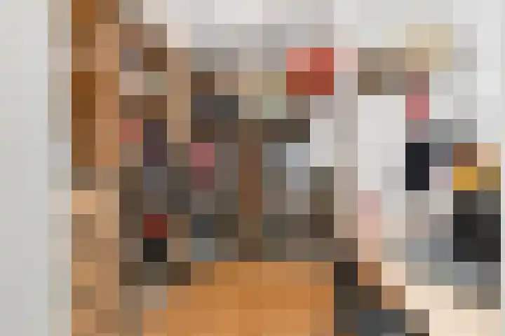 P.C. Boutenslaan 117 Rijswijk thumbnail 27