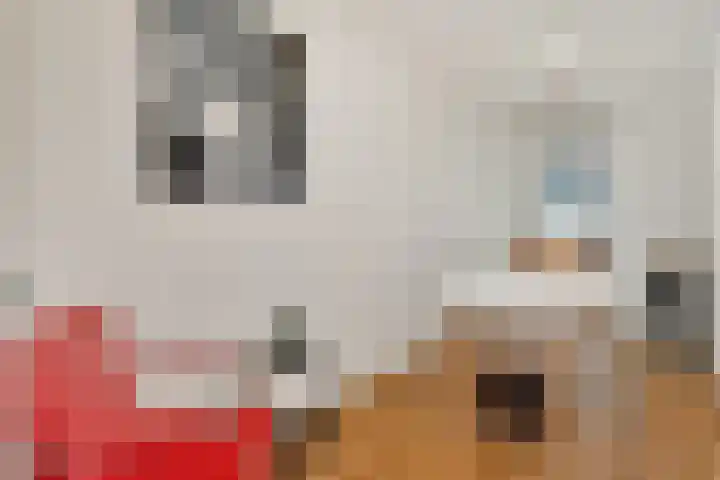 P.C. Boutenslaan 117 Rijswijk thumbnail 28