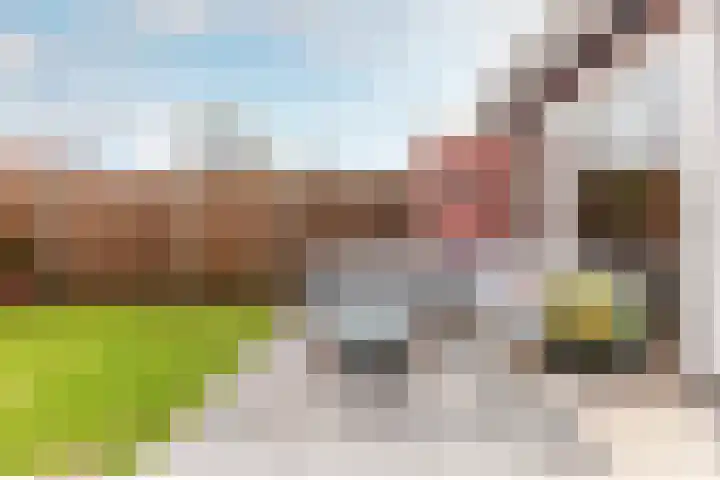 P.C. Boutenslaan 14 Harderwijk thumbnail 35