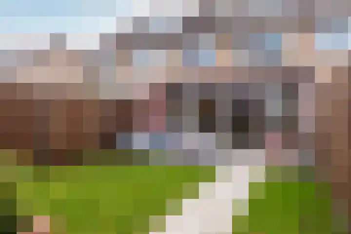 P.C. Boutenslaan 14 Harderwijk thumbnail 36