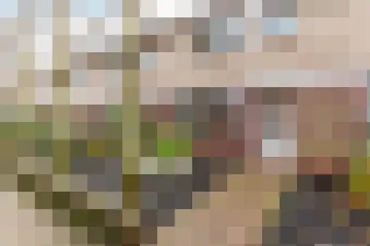 P.C. Boutenslaan 14 Harderwijk thumbnail 38