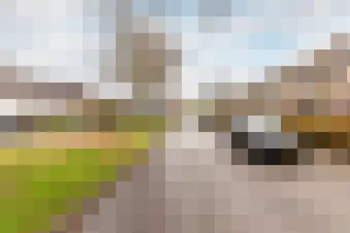 P.C. Boutenslaan 14 Harderwijk thumbnail 41