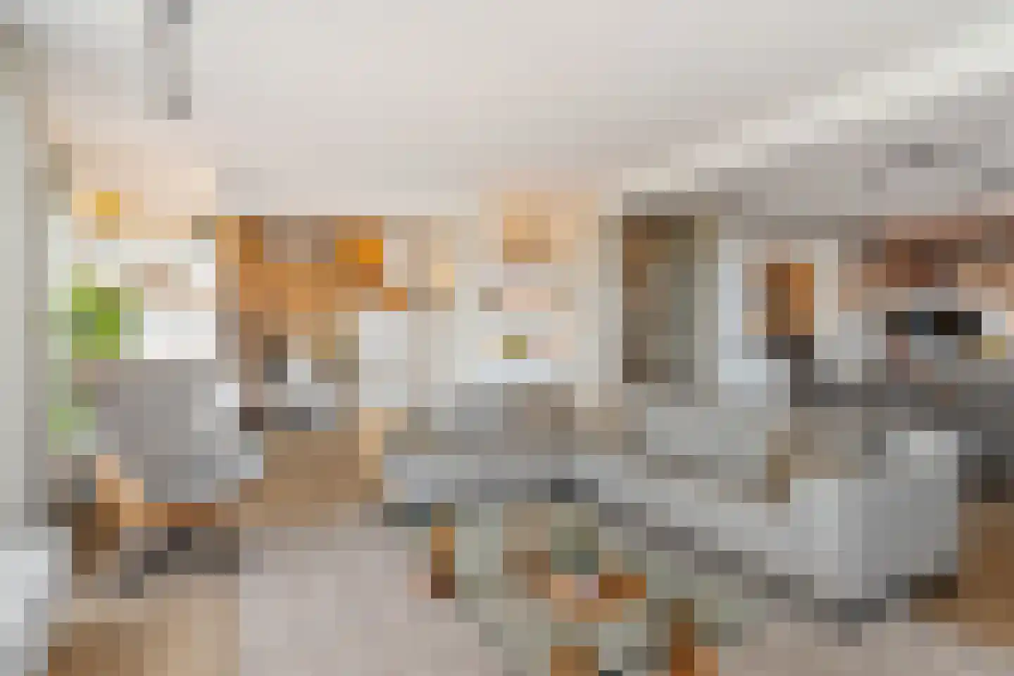 P.C. Boutenslaan 169 Rijswijk thumbnail 12