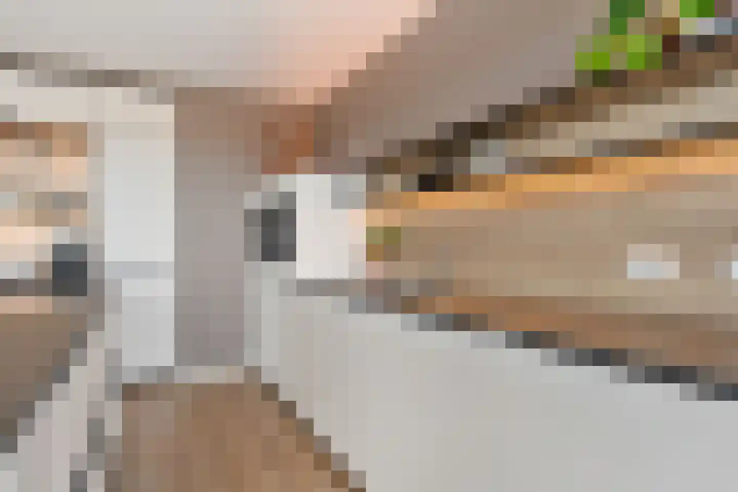 P.C. Boutenslaan 169 Rijswijk thumbnail 22