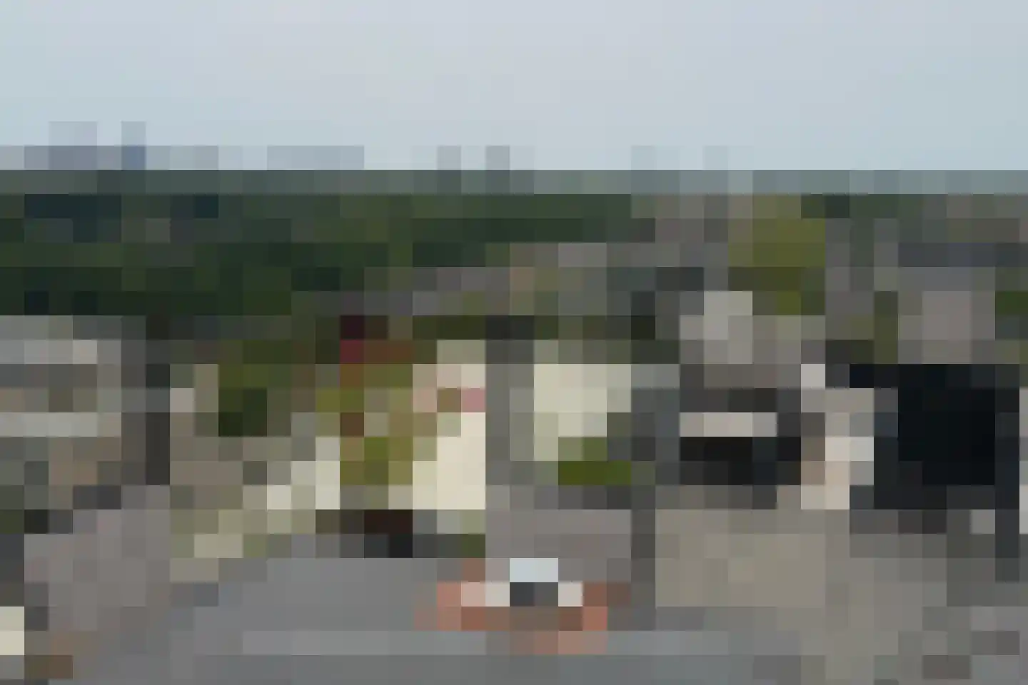 P.C. Boutenslaan 169 Rijswijk thumbnail 53