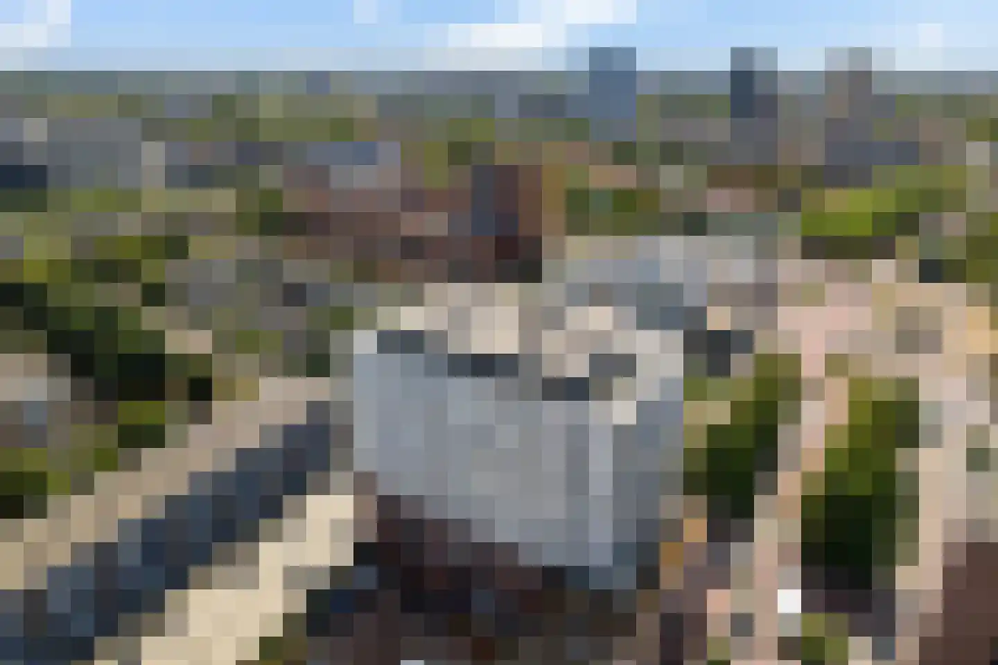 P.C. Boutenslaan 169 Rijswijk thumbnail 60