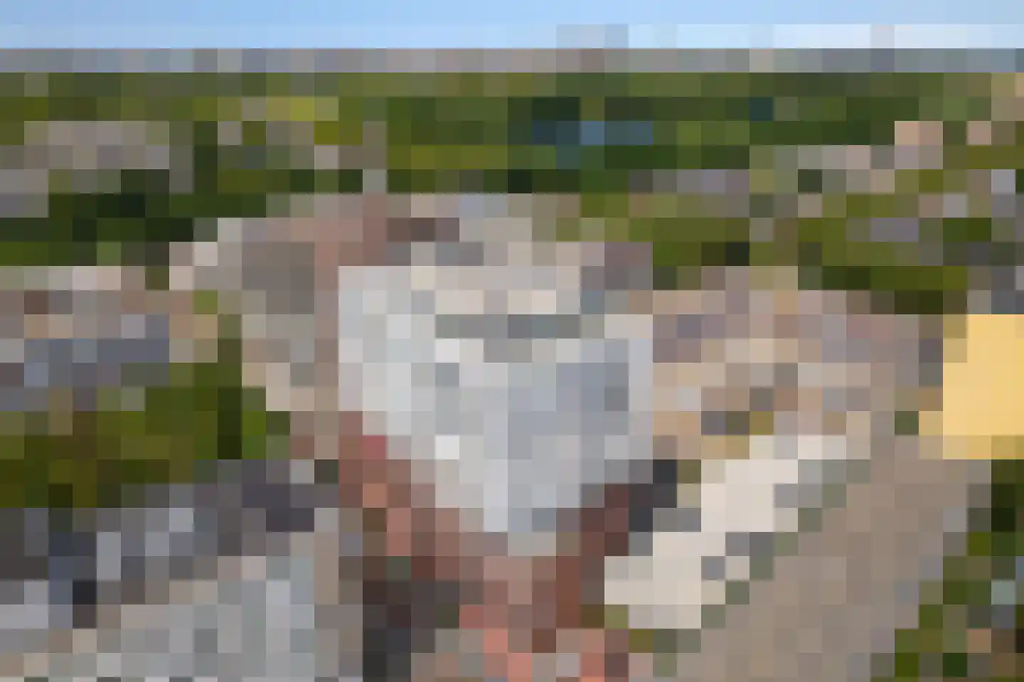 P.C. Boutenslaan 169 Rijswijk thumbnail 65