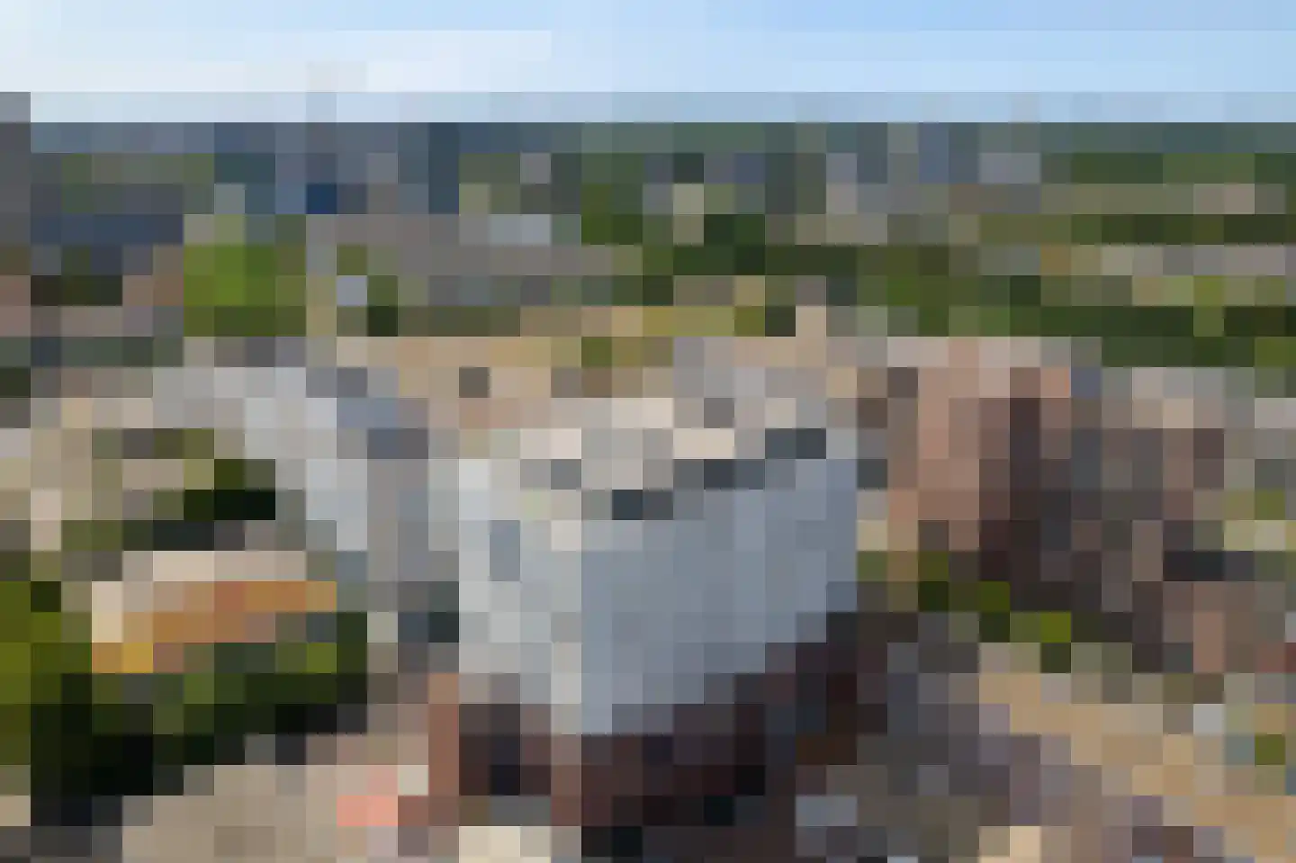 P.C. Boutenslaan 169 Rijswijk thumbnail 67
