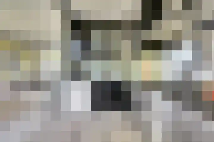 P.C. Boutenslaan 30 Harderwijk thumbnail 14