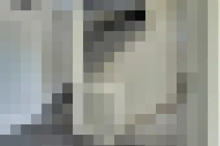 P.C. Boutenslaan 30 Harderwijk thumbnail 17