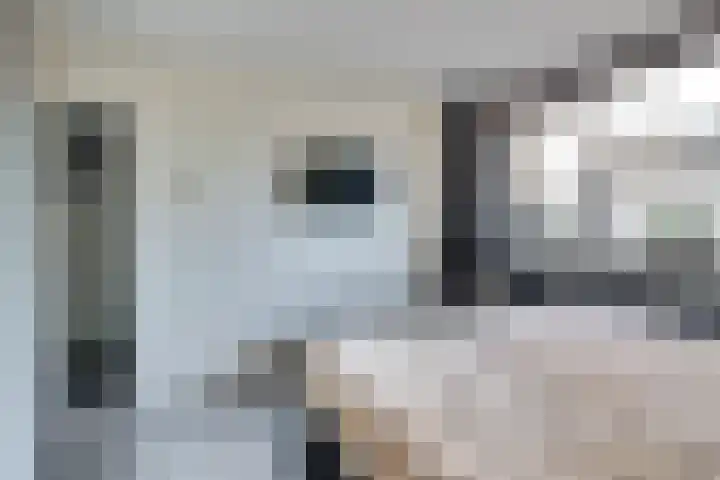 P.C. Boutenslaan 30 Harderwijk thumbnail 18