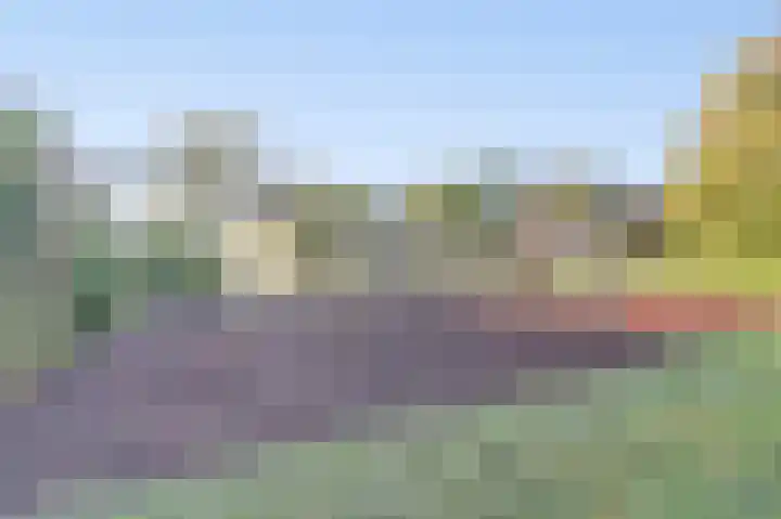 P.C. Boutenslaan 30 Harderwijk thumbnail 31