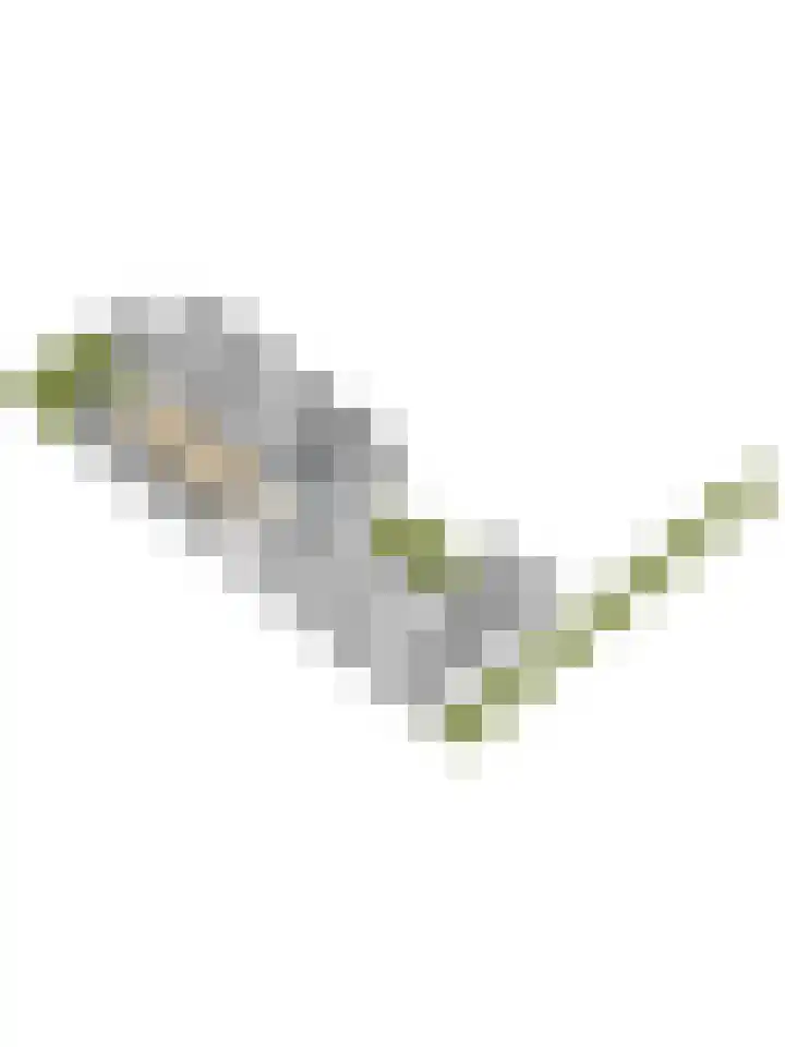 P.C. Boutenslaan 30 Harderwijk thumbnail 42