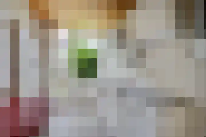P.C. Boutenslaan 34 Rijswijk thumbnail 15