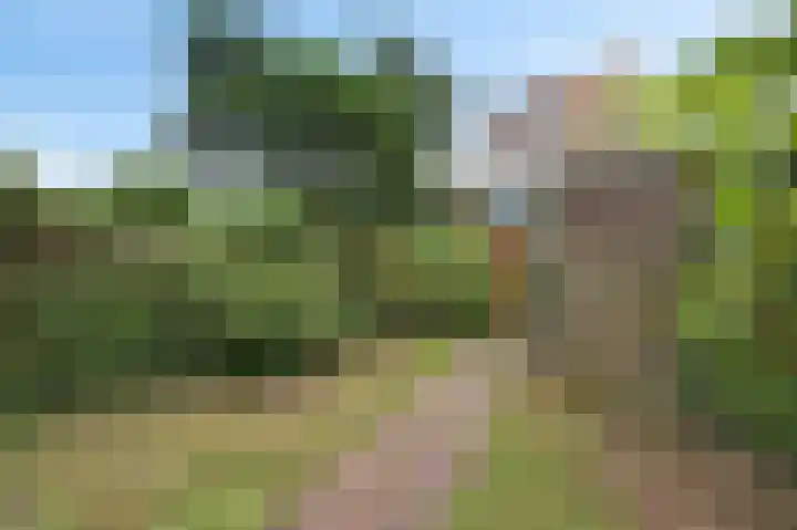 P.C. Boutenslaan 34 Rijswijk thumbnail 18