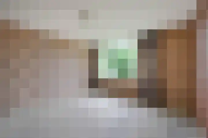 P.C. Boutenslaan 34 Rijswijk thumbnail 26