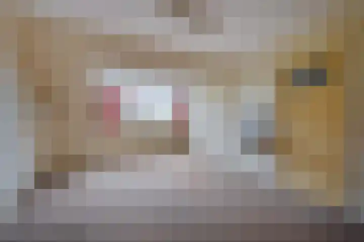 P.C. Boutenslaan 34 Rijswijk thumbnail 33