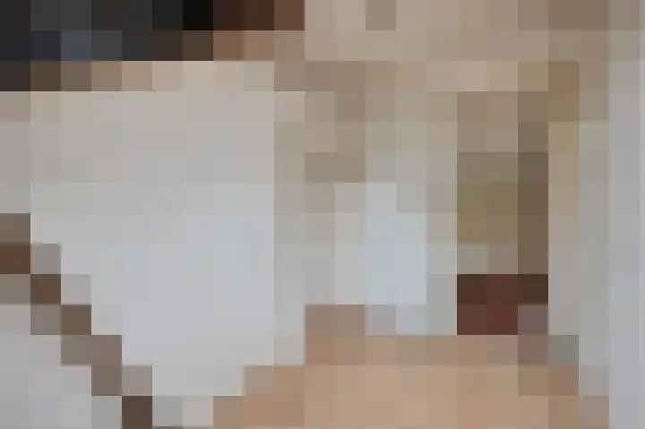 P.C. Boutenslaan 34 Rijswijk thumbnail 36