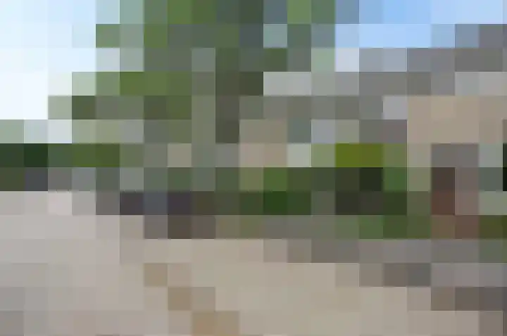 P.C. Boutenslaan 34 Rijswijk thumbnail 4