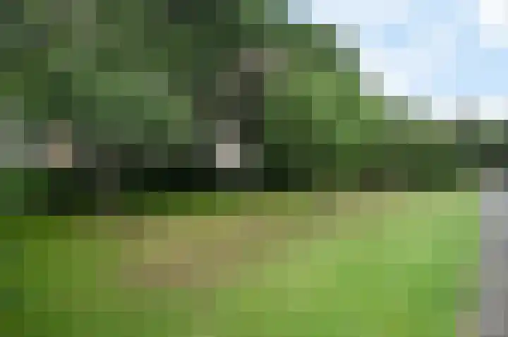P.C. Boutenslaan 34 Rijswijk thumbnail 5