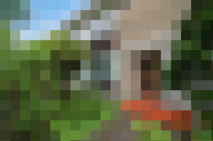 P.C. Boutenslaan 34 Rijswijk thumbnail 8