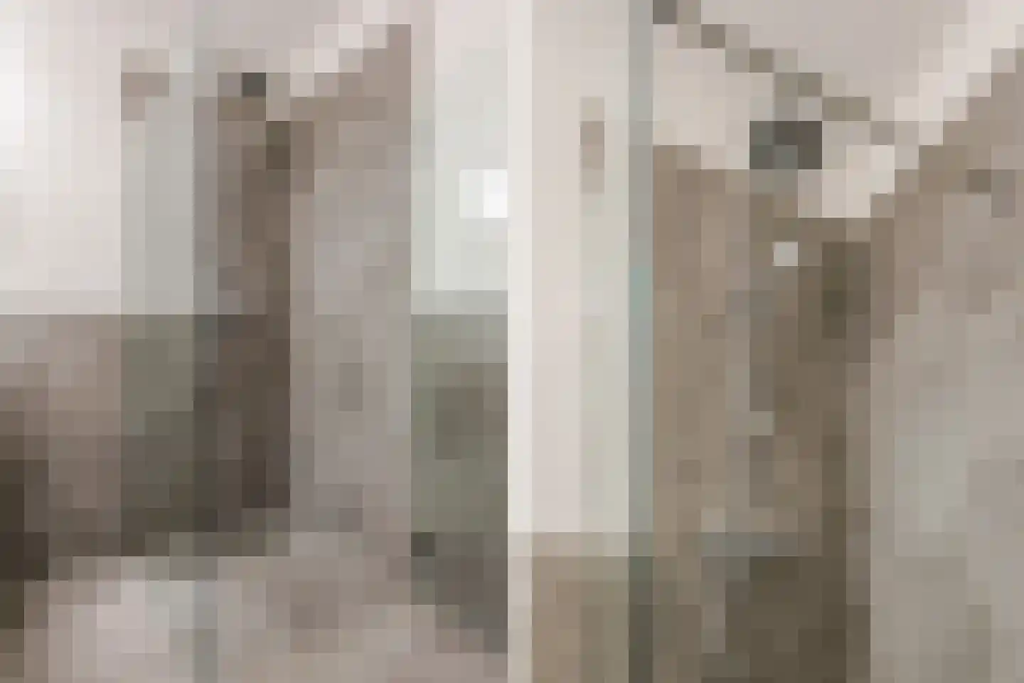 P.C. Boutenslaan 55 Rijswijk thumbnail 23