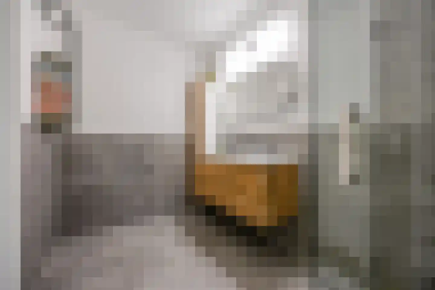 P.C. Boutenslaan 55 Rijswijk thumbnail 24
