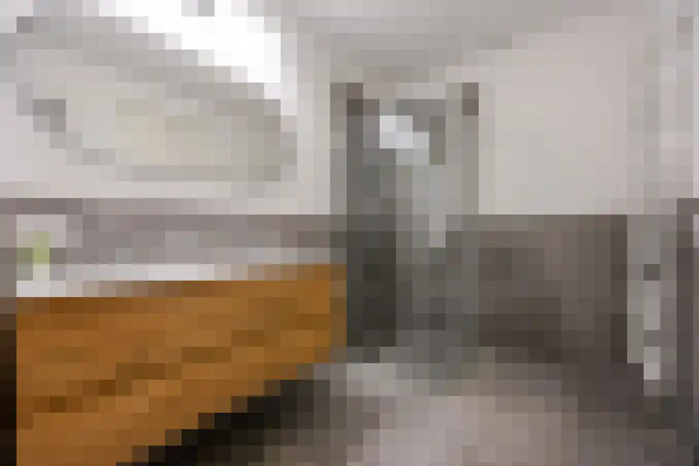 P.C. Boutenslaan 55 Rijswijk thumbnail 25