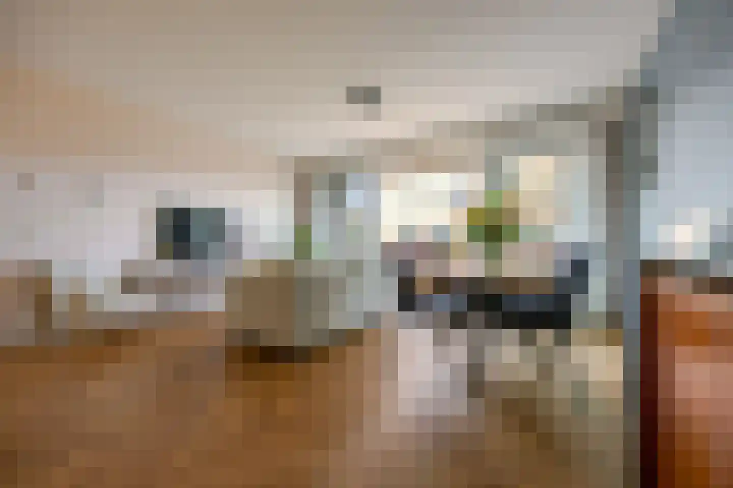 P.C. Boutenslaan 55 Rijswijk thumbnail 4