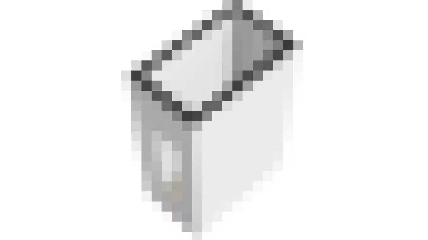 P.C. Boutenslaan 55 Rijswijk thumbnail 46