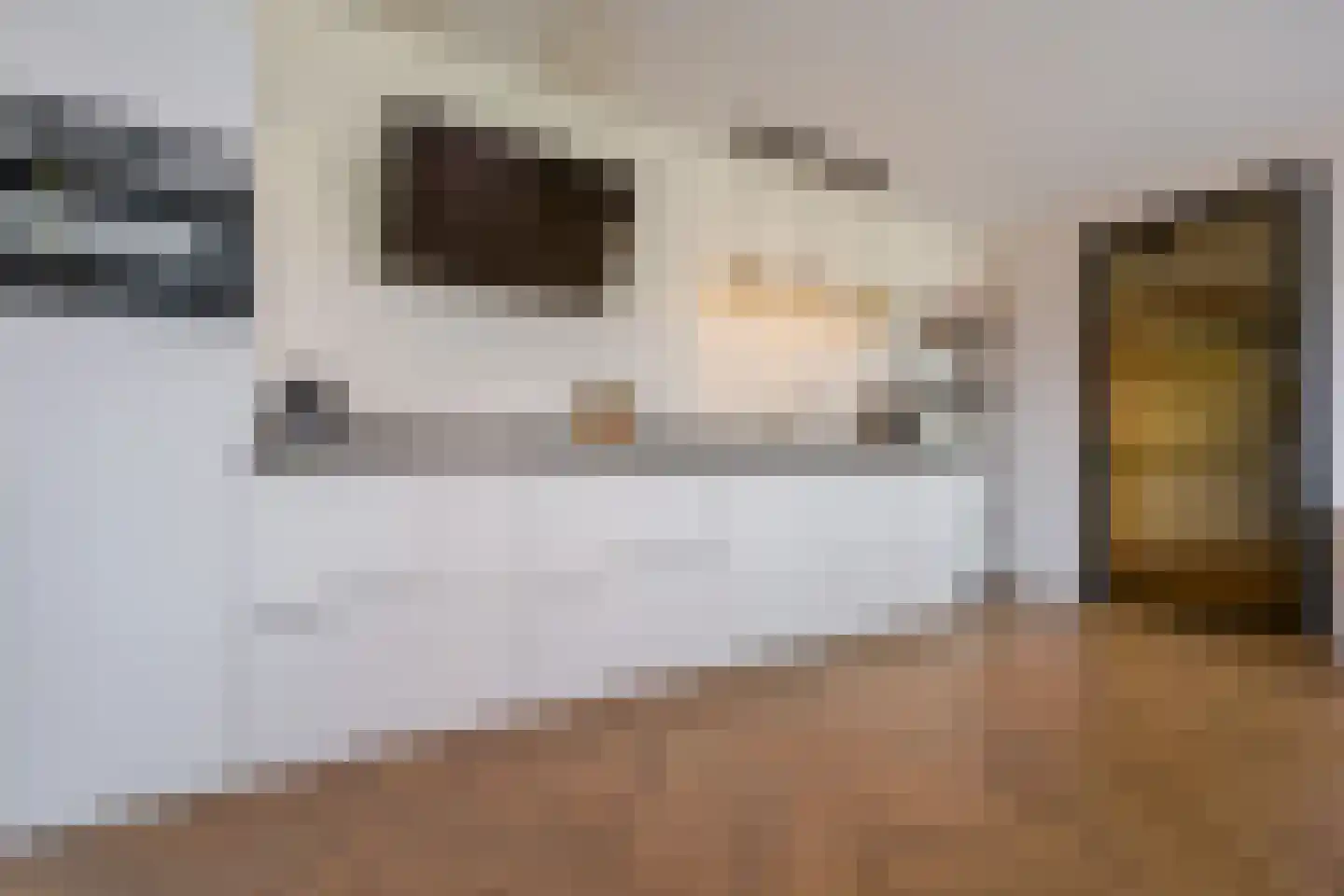 P.C. Boutenslaan 55 Rijswijk thumbnail 6