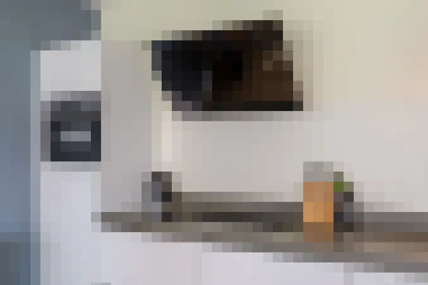 P.C. Boutenslaan 55 Rijswijk thumbnail 7