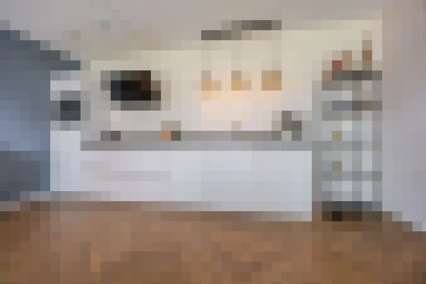 P.C. Boutenslaan 55 Rijswijk thumbnail 8