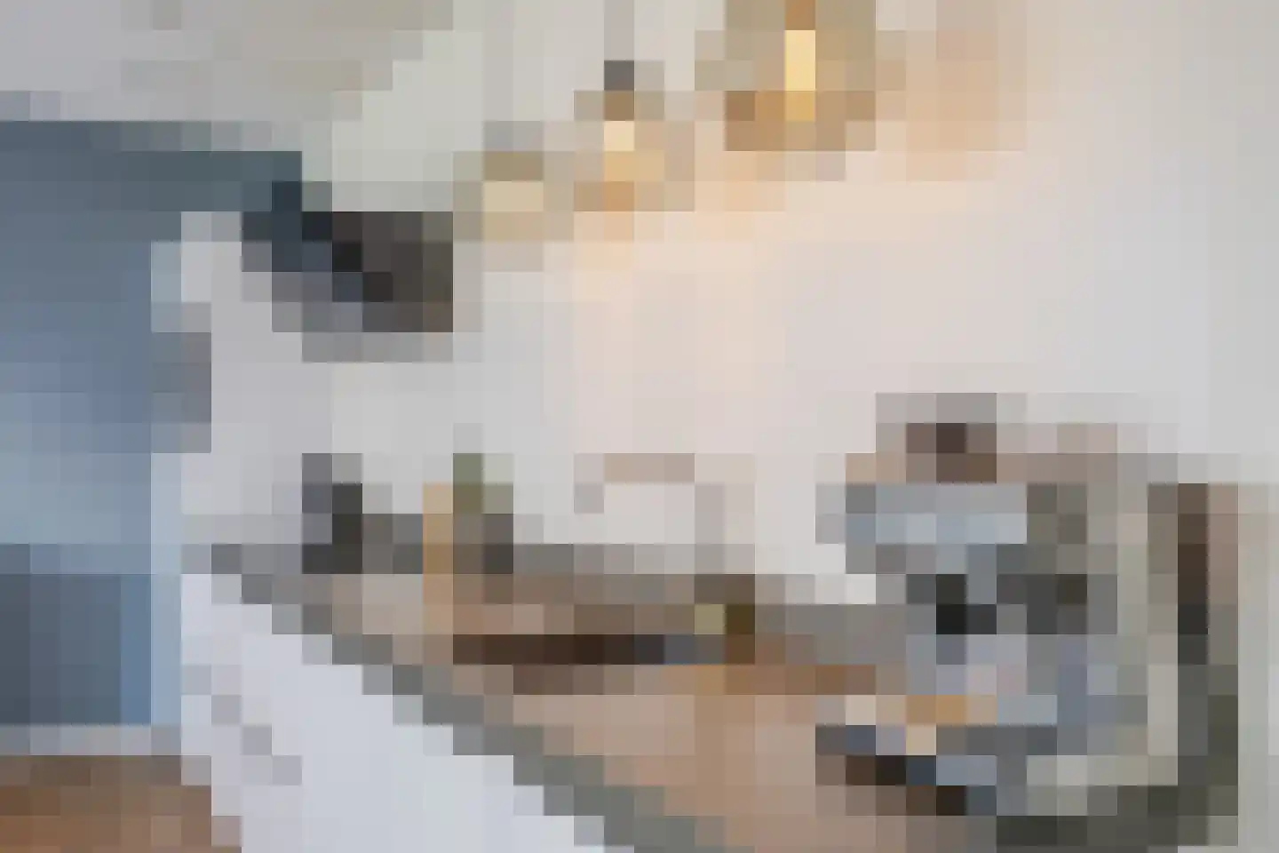 P.C. Boutenslaan 55 Rijswijk thumbnail 9
