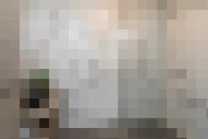 P.C. Boutenslaan 63 Rijswijk thumbnail 22