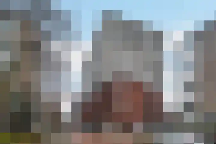 P.C. Boutenslaan 63 Rijswijk thumbnail 27