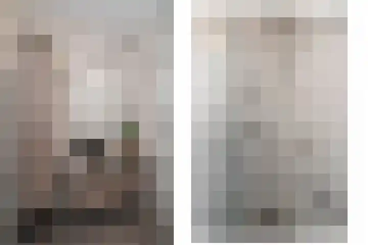 P.C. Boutenslaan 63 Rijswijk thumbnail 4