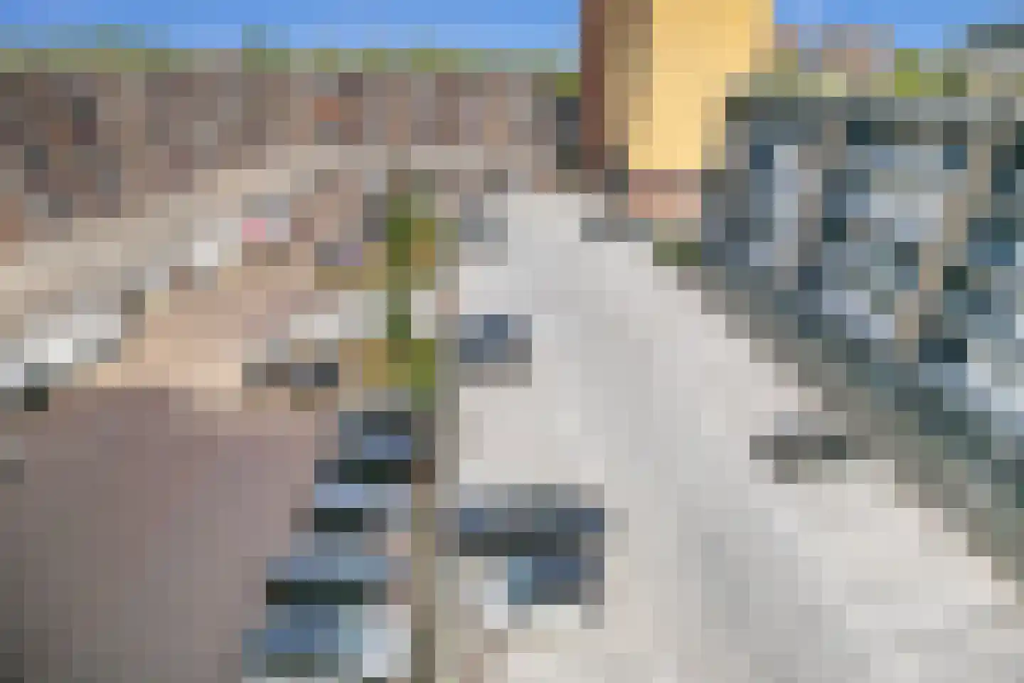 P.C. Boutenslaan 77 Rijswijk thumbnail 20